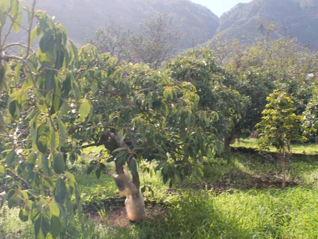 Terreno en Venta en Valsequillo de Gran Canaria