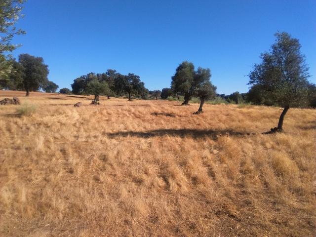 Terreno en venta en Valsequillo