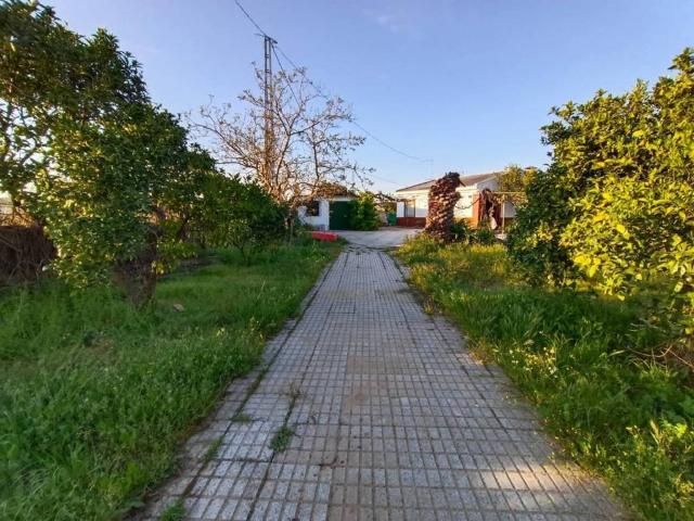 Terreno en Venta en Valverde de Mérida