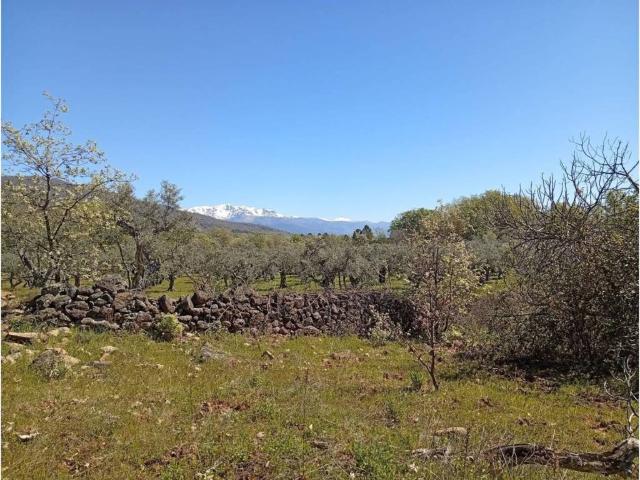 Terreno en Venta en Valverde de la Vera