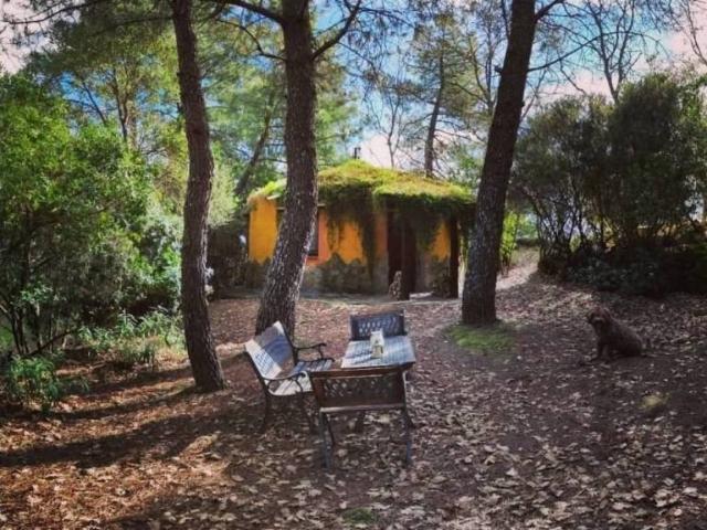 Terreno en Venta en Valverde de la Vera