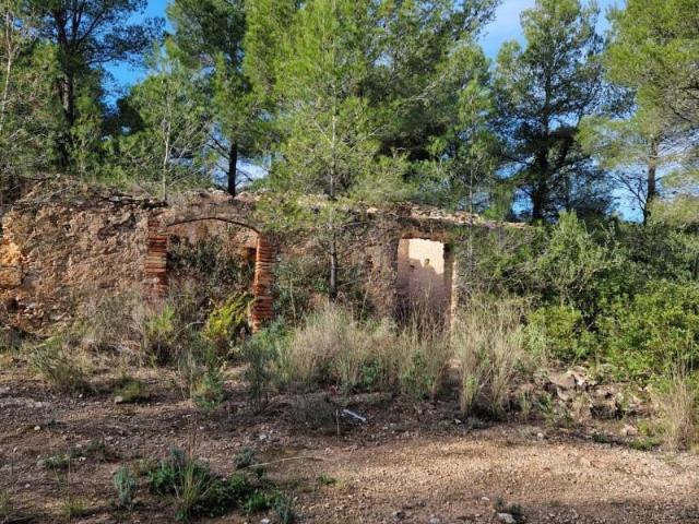 Terreno en venta en Vandellós, Vandellos
