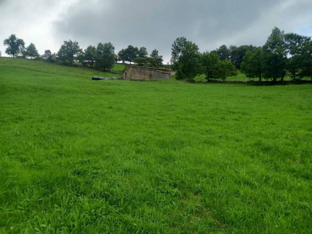 Terreno en Venta en Vega de Pas