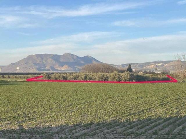 Terreno en Venta en Vegas del Genil