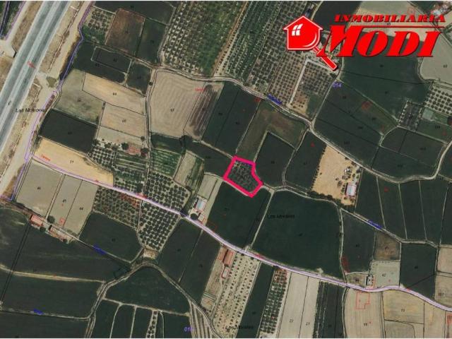 Terreno en Venta en Vegas del Genil