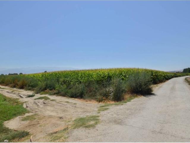 Terreno en Venta en Vegas del Genil