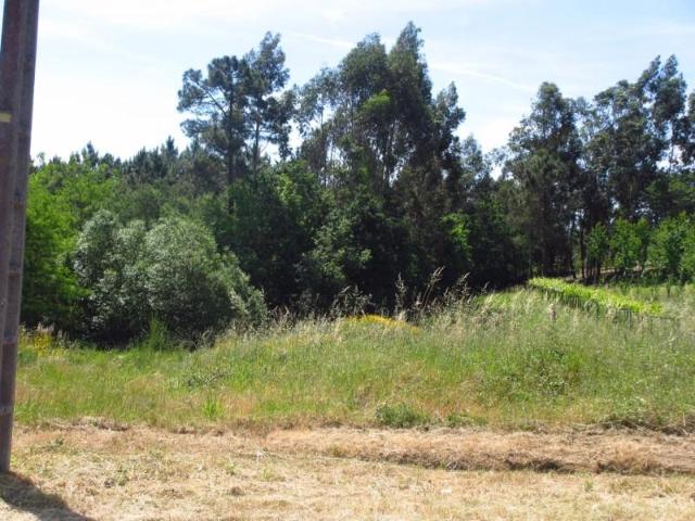 Terreno en venta en Vedra, San Miguel de Sarandon