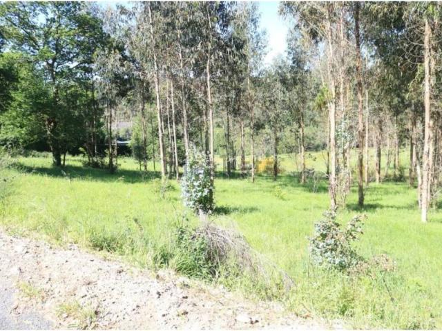 Terreno en Venta en Vedra