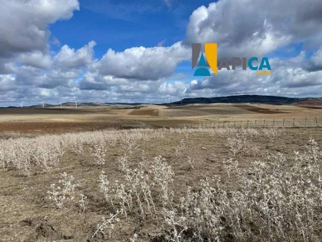 Terreno en Venta en Vejer de la Frontera
