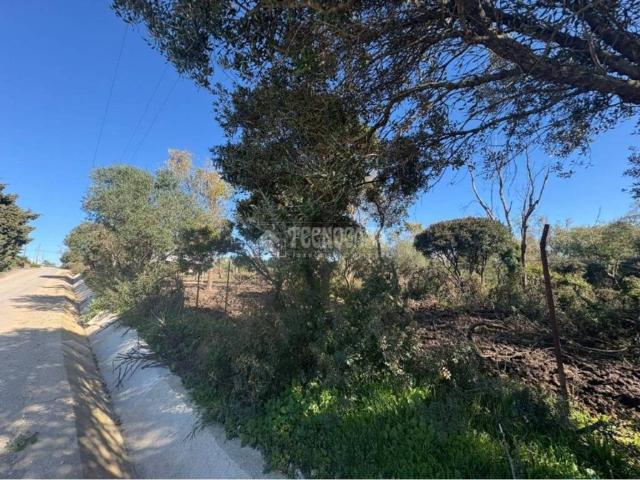 Terreno en Venta en Vejer de la Frontera