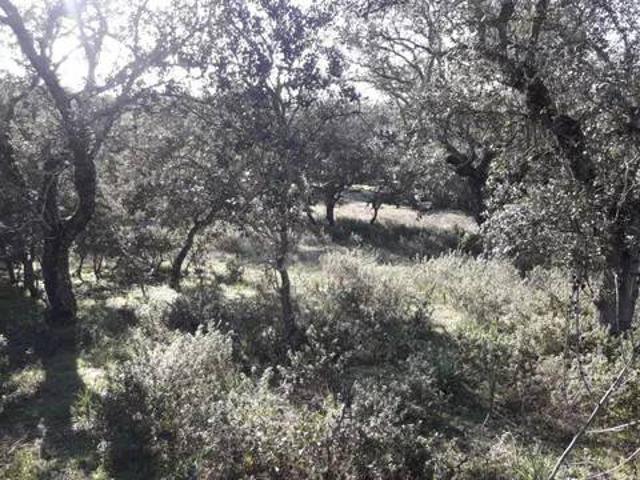 Terreno en Venta en Velada