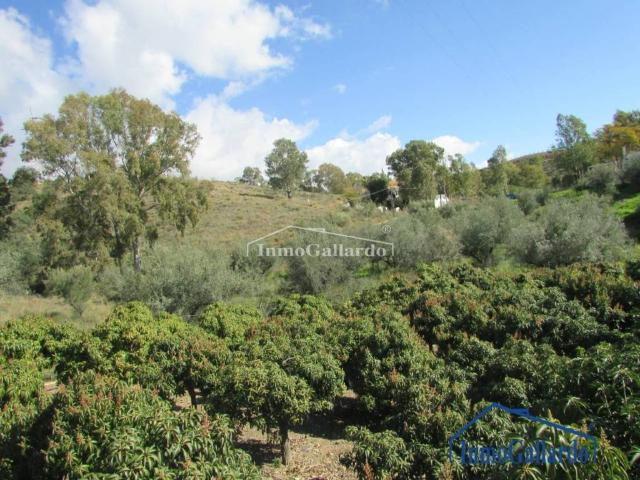 Terreno en Venta en Vélez Málaga