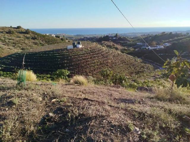 Terreno en Venta en Vélez Málaga