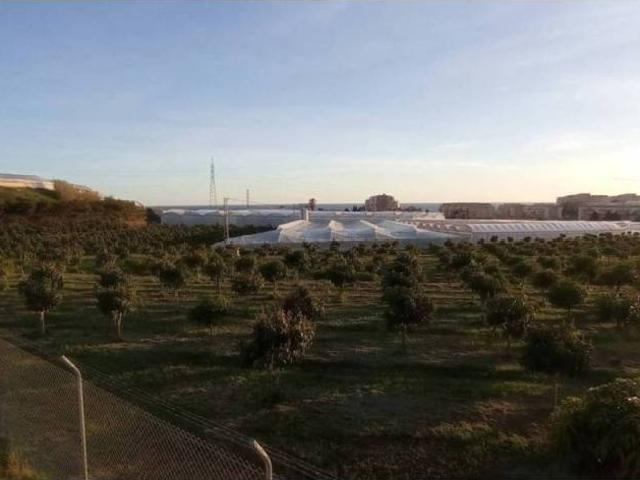 Terreno en Venta en Vélez Málaga