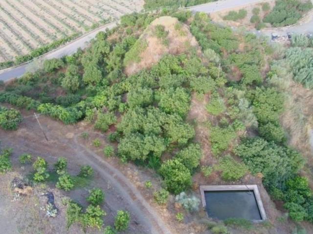 Terreno en Venta en Vélez Málaga