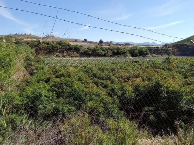 Terreno en Venta en Vélez Málaga