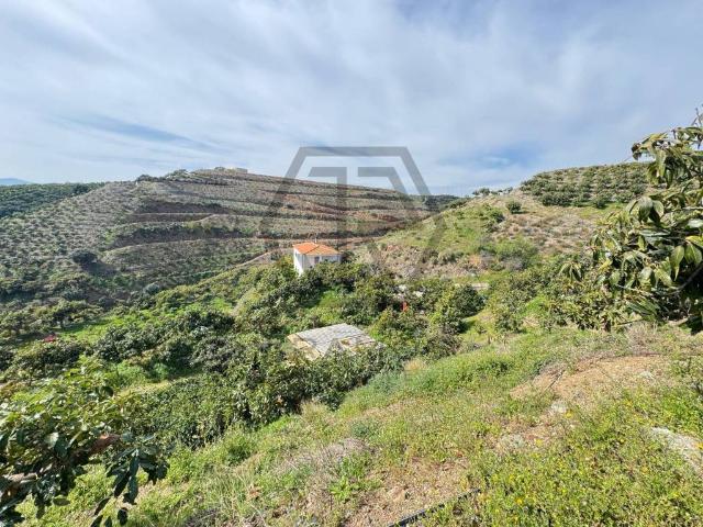 Terreno en Venta en Vélez Málaga
