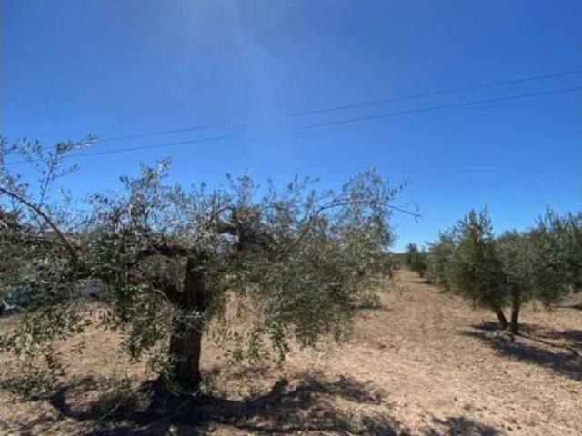 Terreno en Venta en Vélez Blanco
