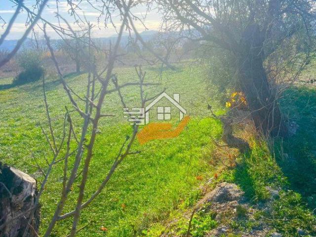 Terreno en venta en Vélez Blanco, Velez Blanco