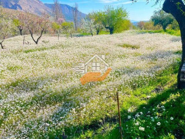Terreno en venta en Vélez Blanco, Velez Blanco