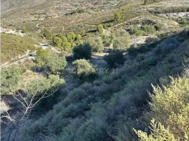 Terreno en Venta en Vélez de Benaudalla