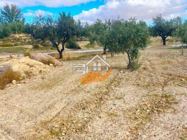 Terreno en venta en Vélez Rubio, Velez Rubio