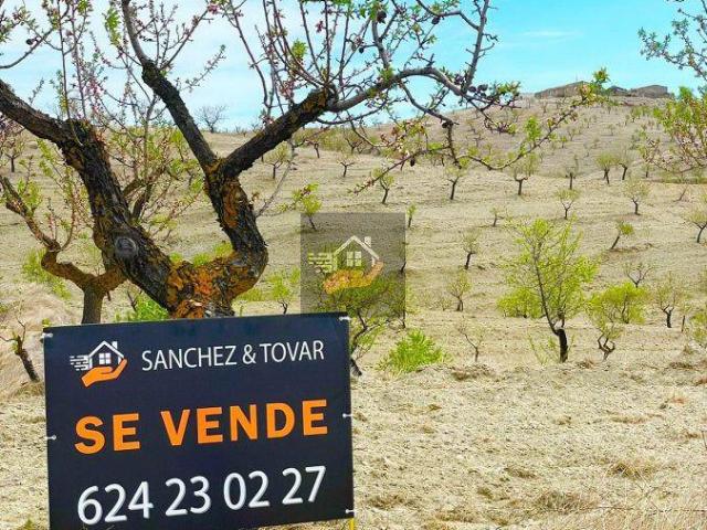 Terreno en venta en Vélez Rubio, Velez Rubio