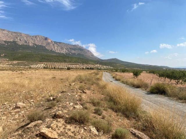 Terreno en Venta en Vélez Rubio