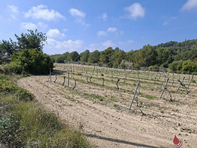 Terreno en venta en Vendrell, El, de 13.584 m² por 28.000