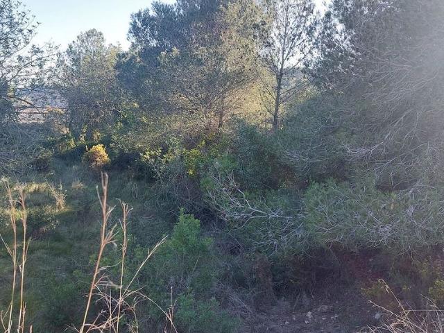 Terreno en venta en Vendrell, El, de 13.575 m² por 28.000