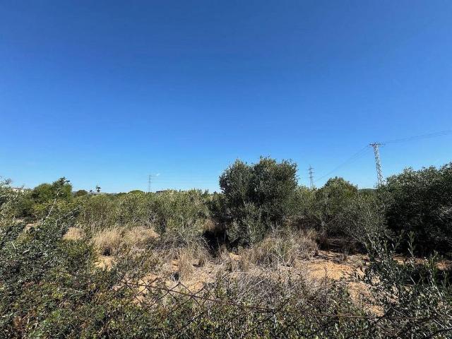 Terreno en venta en Vendrell, El, de 9.565 m² por 81.000