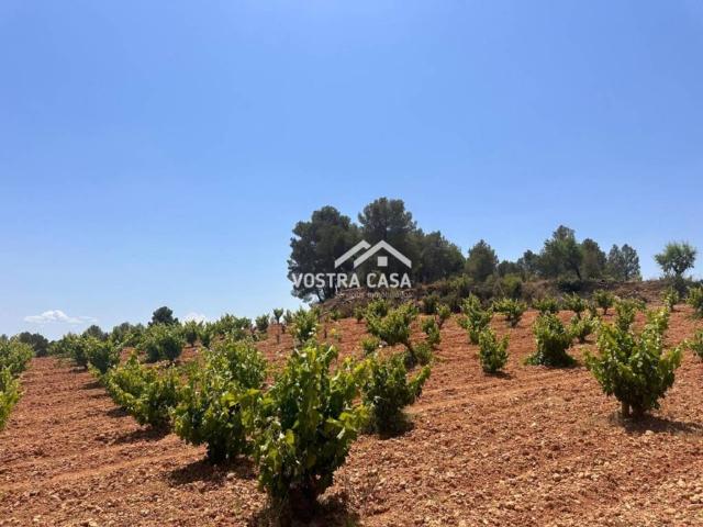 Terreno en Venta en Venta del Moro