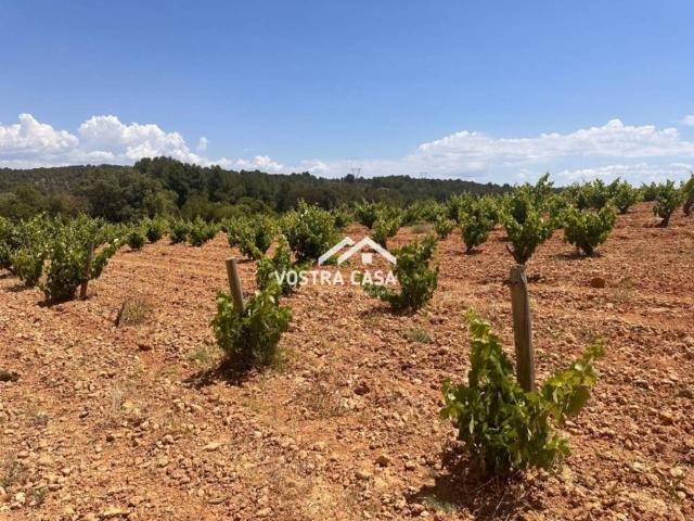 Terreno en Venta en Venta del Moro