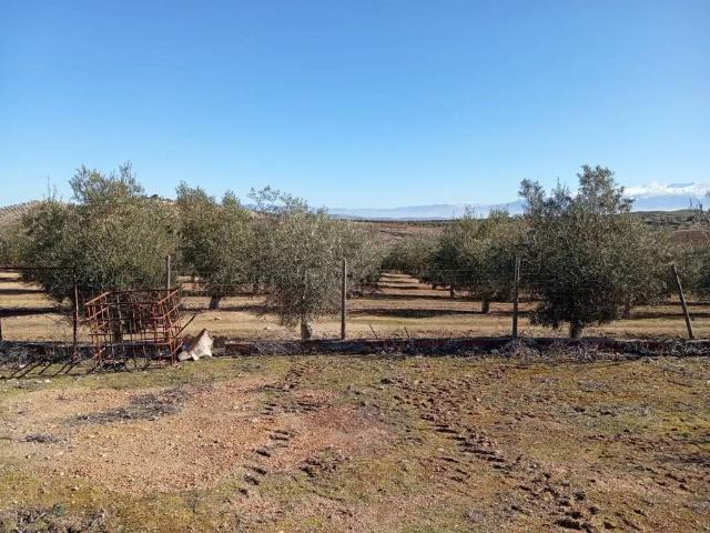 Terreno en Venta en Ventas de Huelma