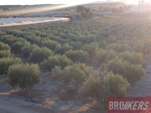 Terreno en Venta en Vera