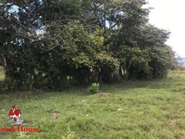 Terreno en venta en Veraguas