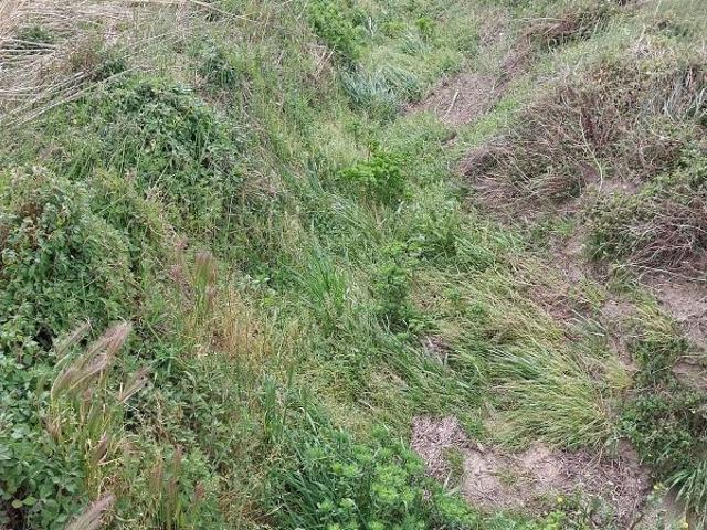 Terreno en venta en Verges, de 2.400 m² por 10.000