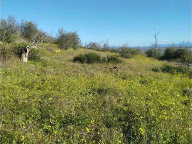 Terreno en Venta en Viandar de la Vera