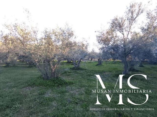 Terreno en venta en Viator, Paseo de Viator