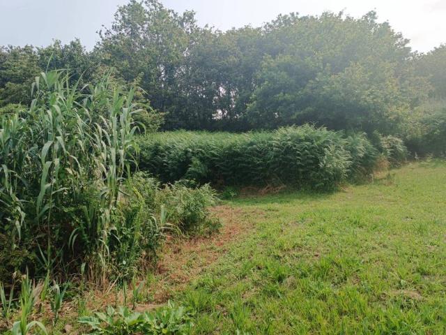 Terreno en Venta en Vigo