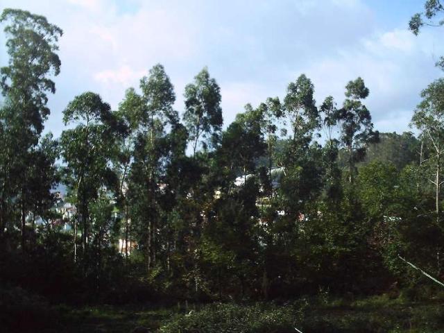 Terreno en venta en Vigo