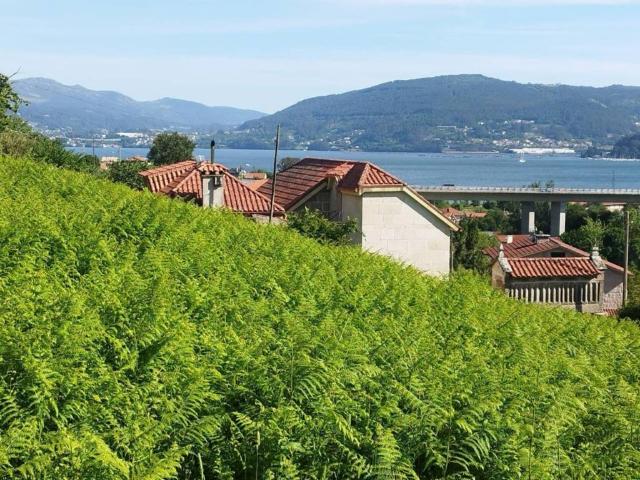 Terreno en Venta en Vigo