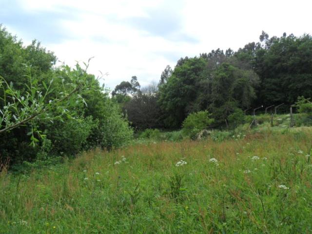 Terreno en venta en Vigo