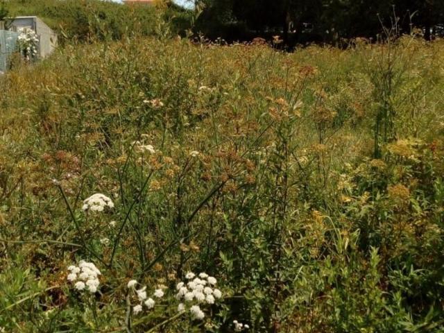 Terreno en venta en Vigo, San Miguel de Oia