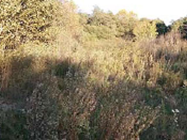 Terreno en venta en Vidreres