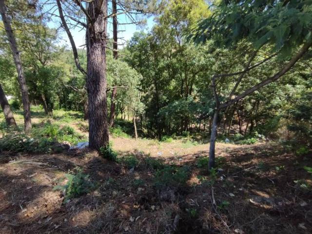 Terreno en Venta en Vidreres