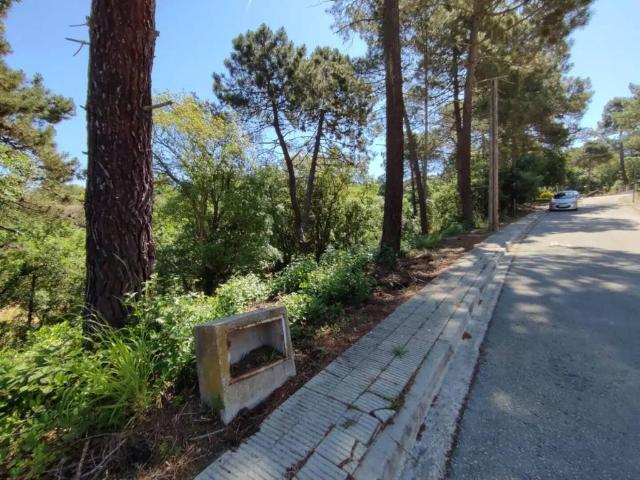 Terreno en Venta en Vidreres