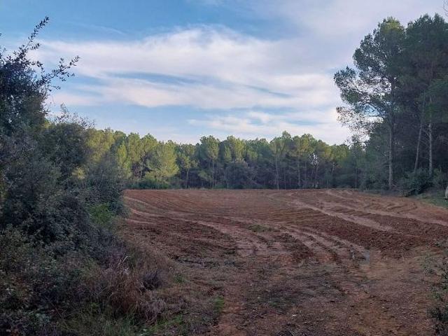 Terreno en venta en Vilopriu, de 10.000 m² por 16.000