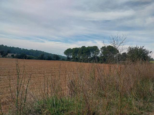 Terreno en venta en Vilopriu, de 11.900 m² por 21.000