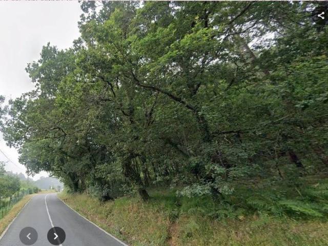 Terreno en Venta en Vila de Cruces